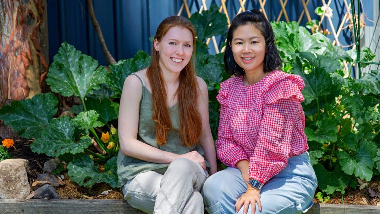 LUCY和FOOD  WISE的合作者 LUCY BELL