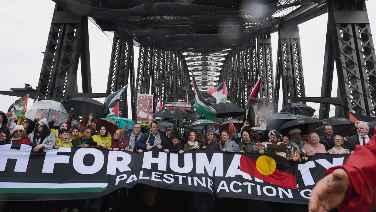 PRO PALESTINE SYDNEY HARBOUR BRIDGE MARCH
