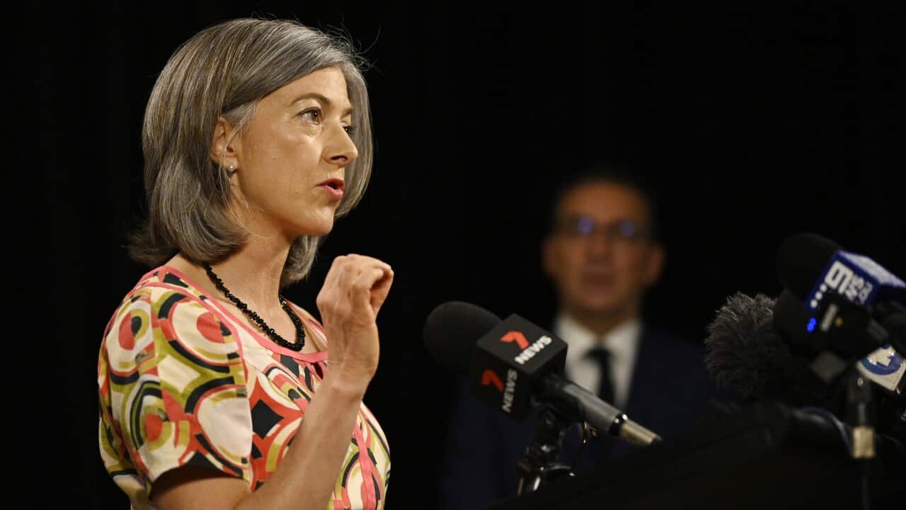 South Australian chief public health officer Nicola Spurrier speaks to the media in Adelaide in November 2020.