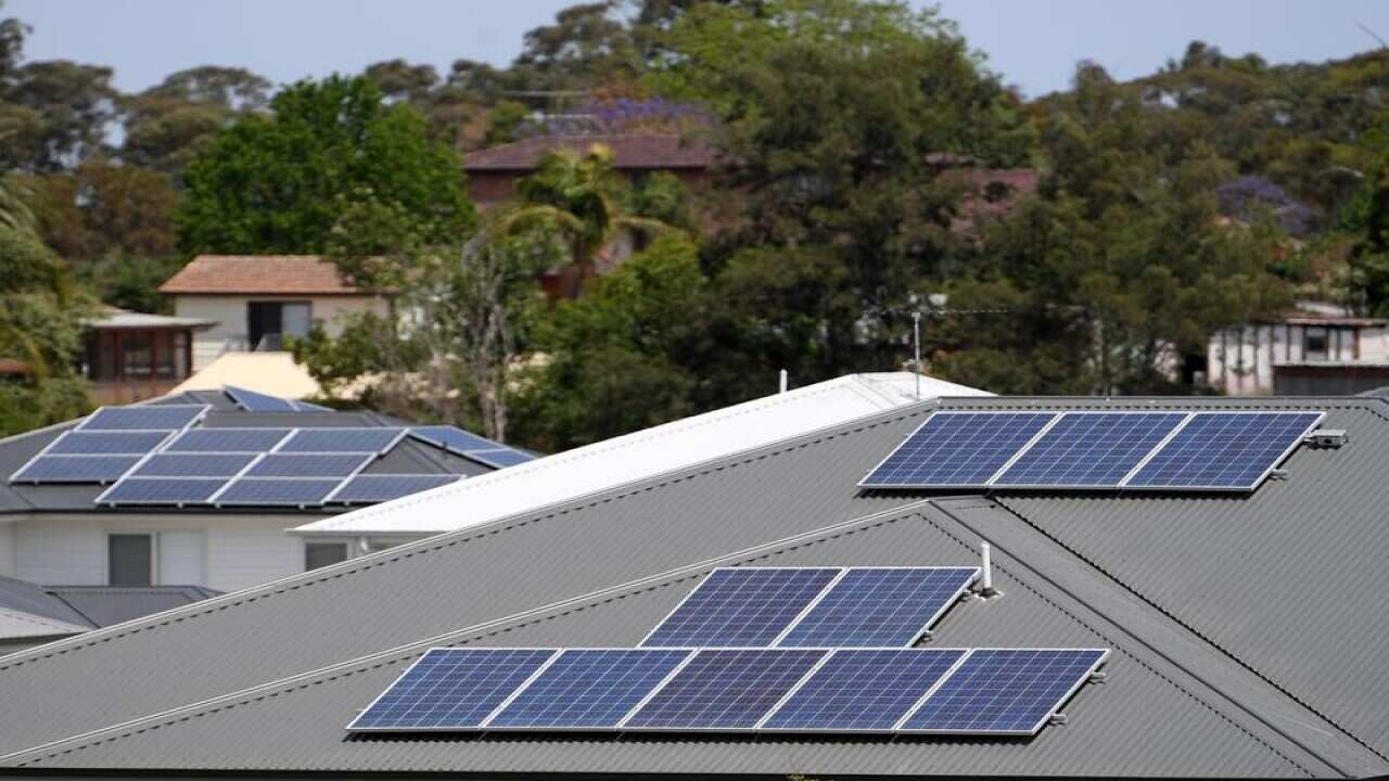 Solar panels are seen on the rooftops of houses in suburban Sydney.
