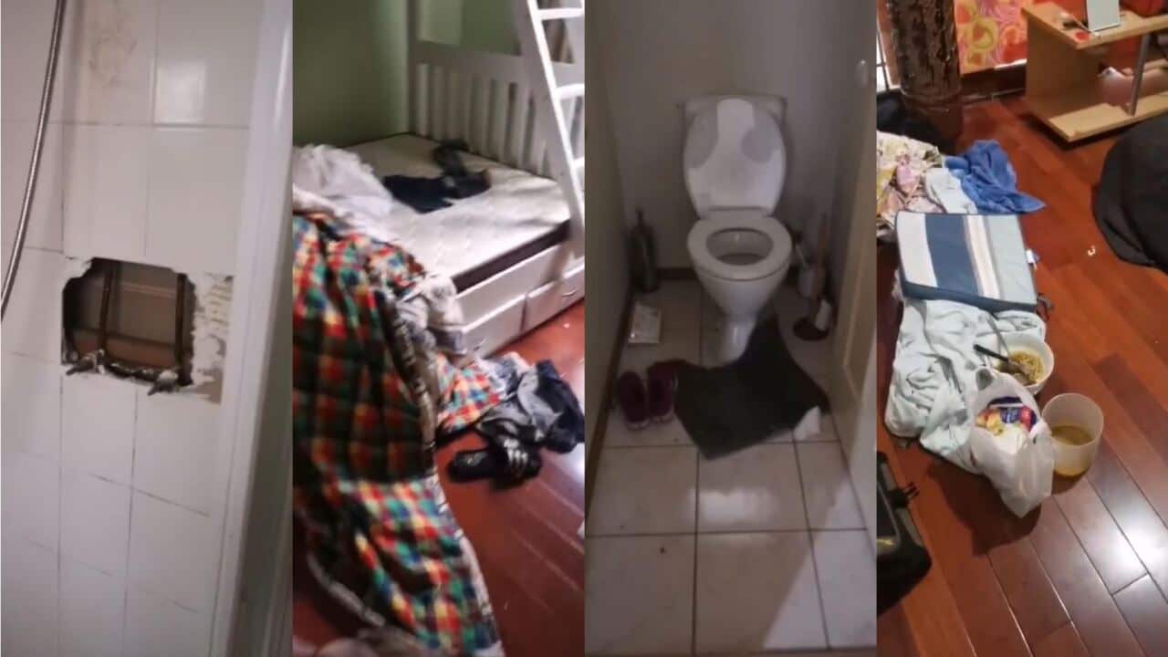 Image for read more article 'READ MORE'