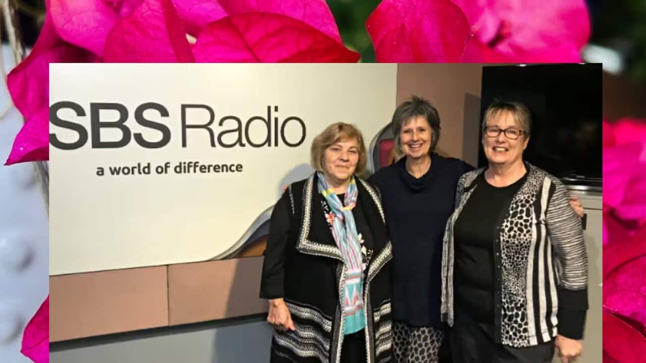 Slobodanka new kolaz.jpg