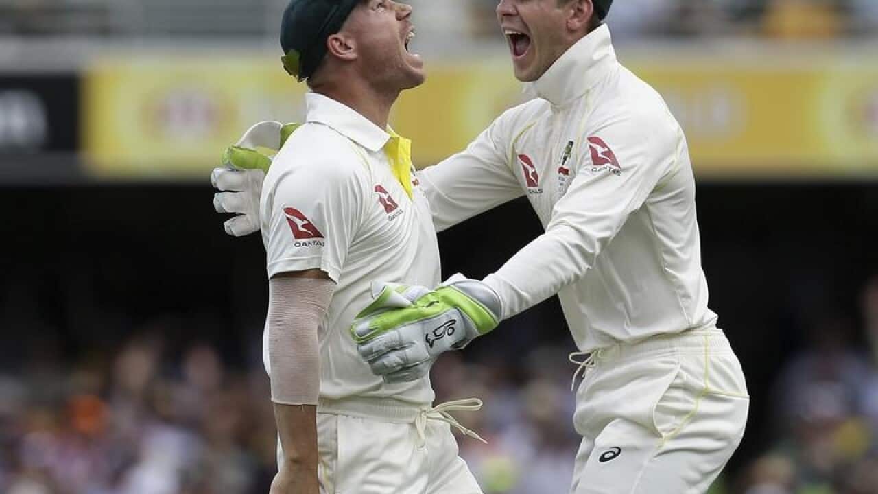 David Warner and Tim Paine.