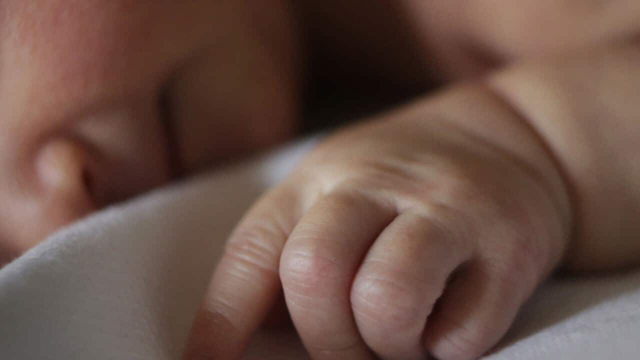 a newborn baby