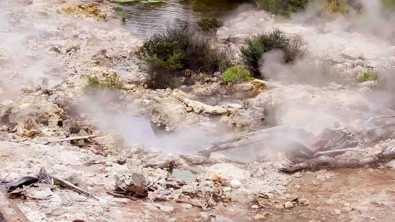 Tourists flock to see geothermal activity in Rotorua