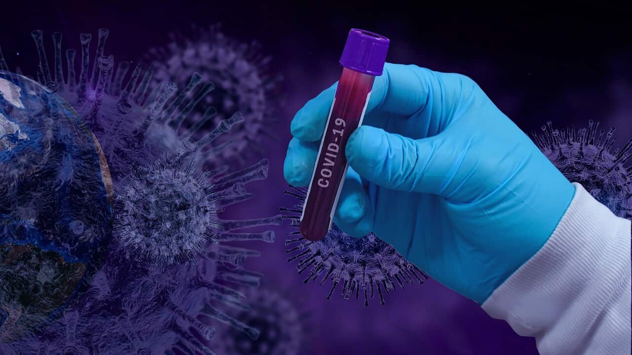 coronavirus