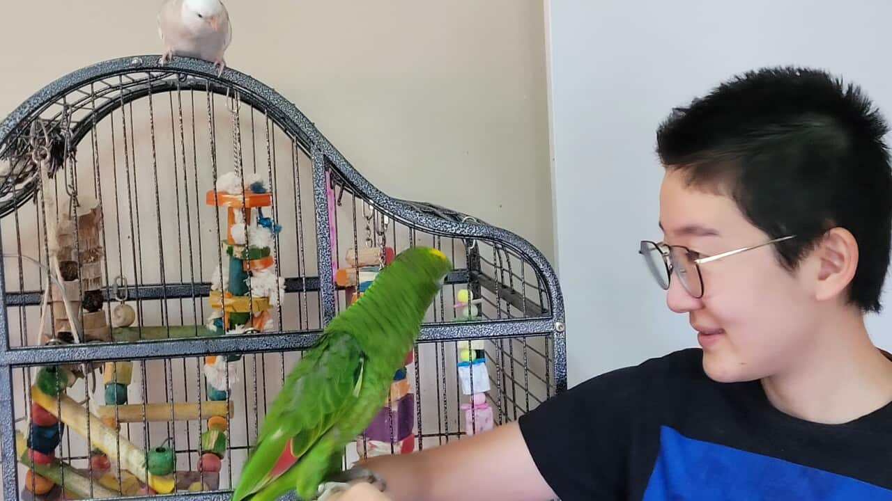 Image for read more article ''