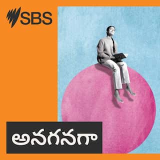 SBS-Podcasts_Telugu Reading Pod_3000x3000px_v1 lady with book.jpg