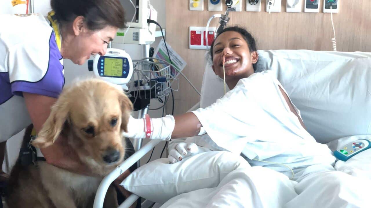 Image for read more article 'Also from SBS Portuguese'