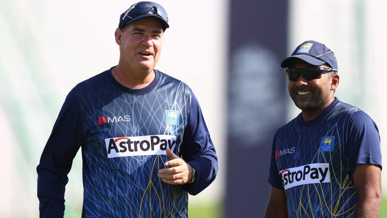 Requests to extend Mahela's mentorship which ends today