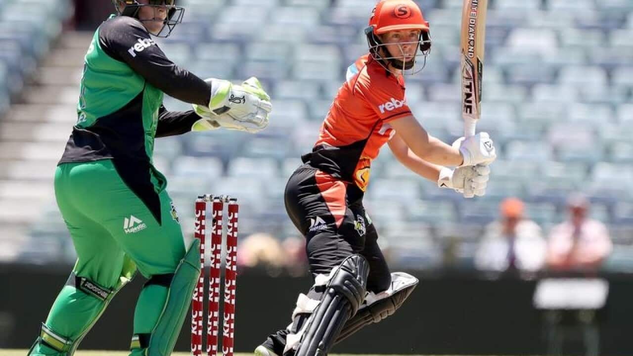 Elyse Villani of the Scorchers