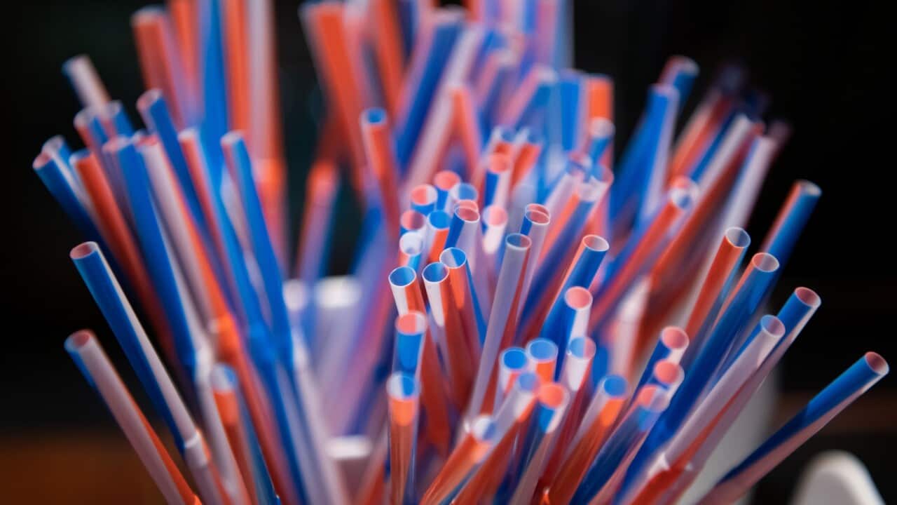A selection of colourful plastic straws.