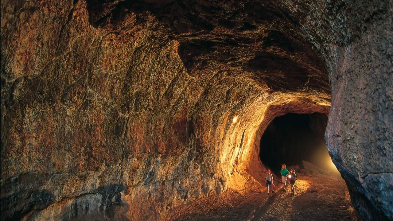 Image for read more article 'READ MORE'