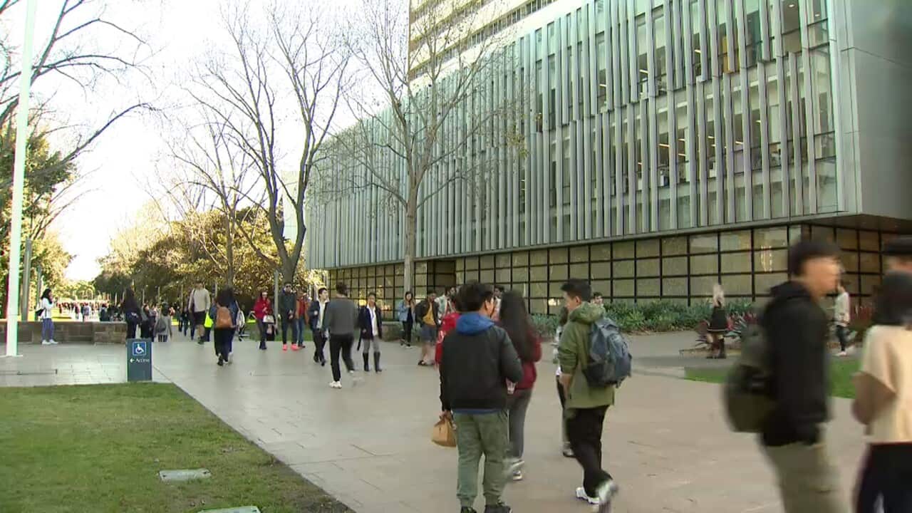 A New South Wales proposal to bring back international students during the second half of 2021 is being called 'a light at the end of the tunnel'