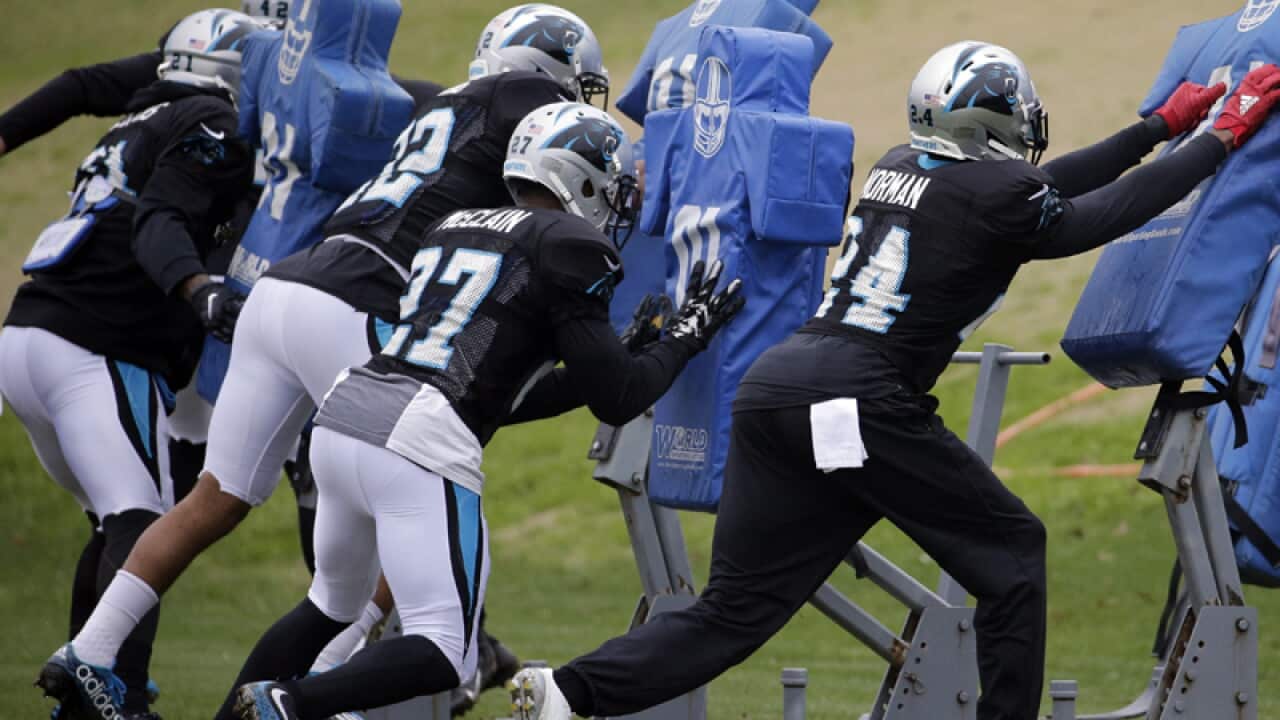 Carolina Panthers players during a practice session
