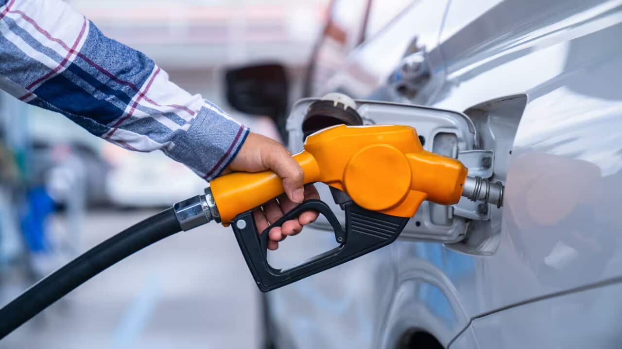 Fuel in Focus.jpg