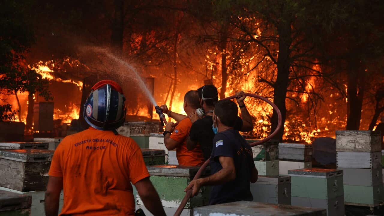 Image for read more article 'READ MORE'