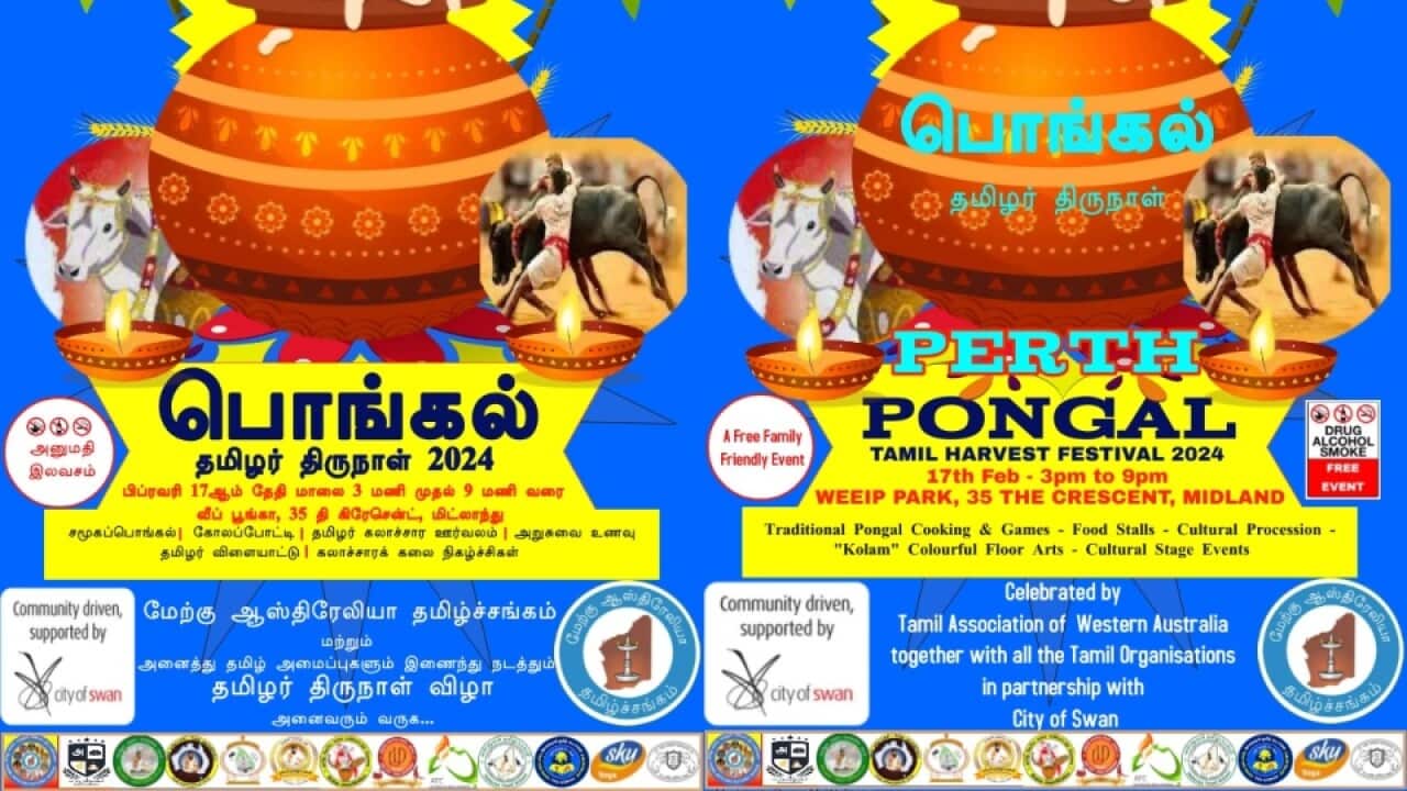 Pongal segment.jpg