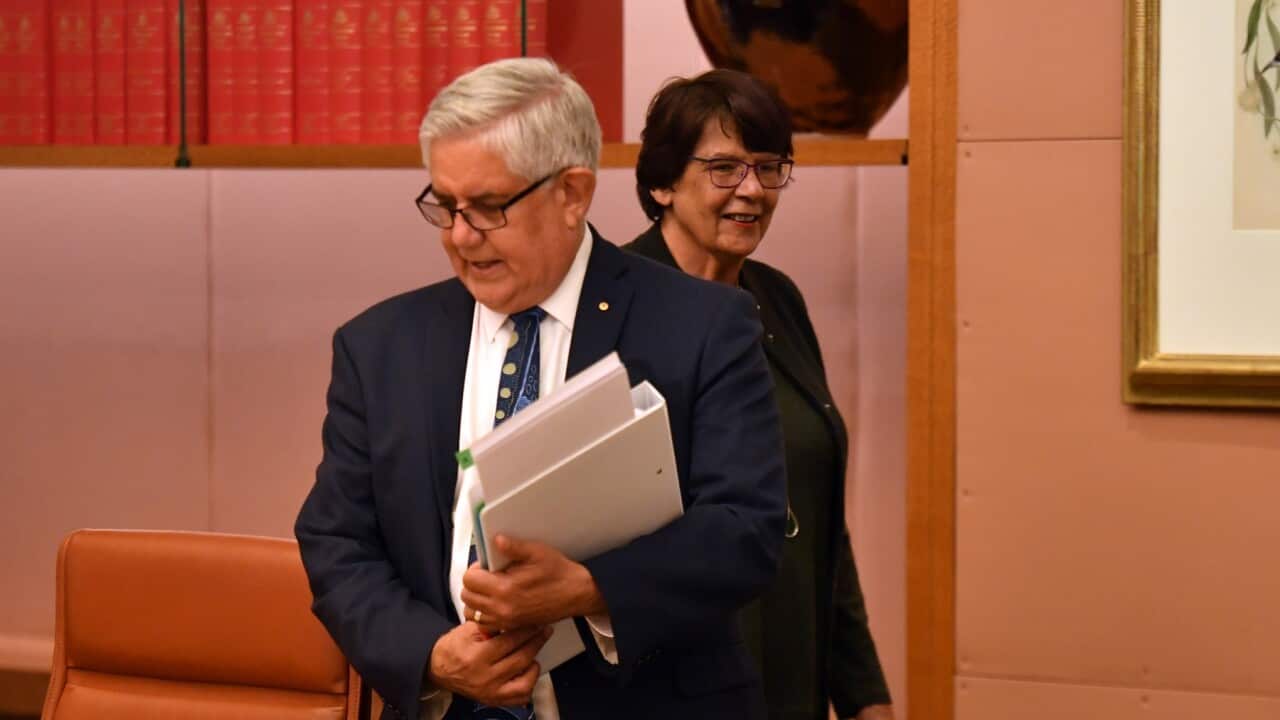 Minister for Indigenous Australians Ken Wyatt and Co-Chair of the Joint Council on Closing the Gap Pat Turner arrive at a meeting in the Cabinet Room at Parliament House in Canberra, Friday, July 3, 2020. (AAP Image/Mick Tsikas) NO ARCHIVING