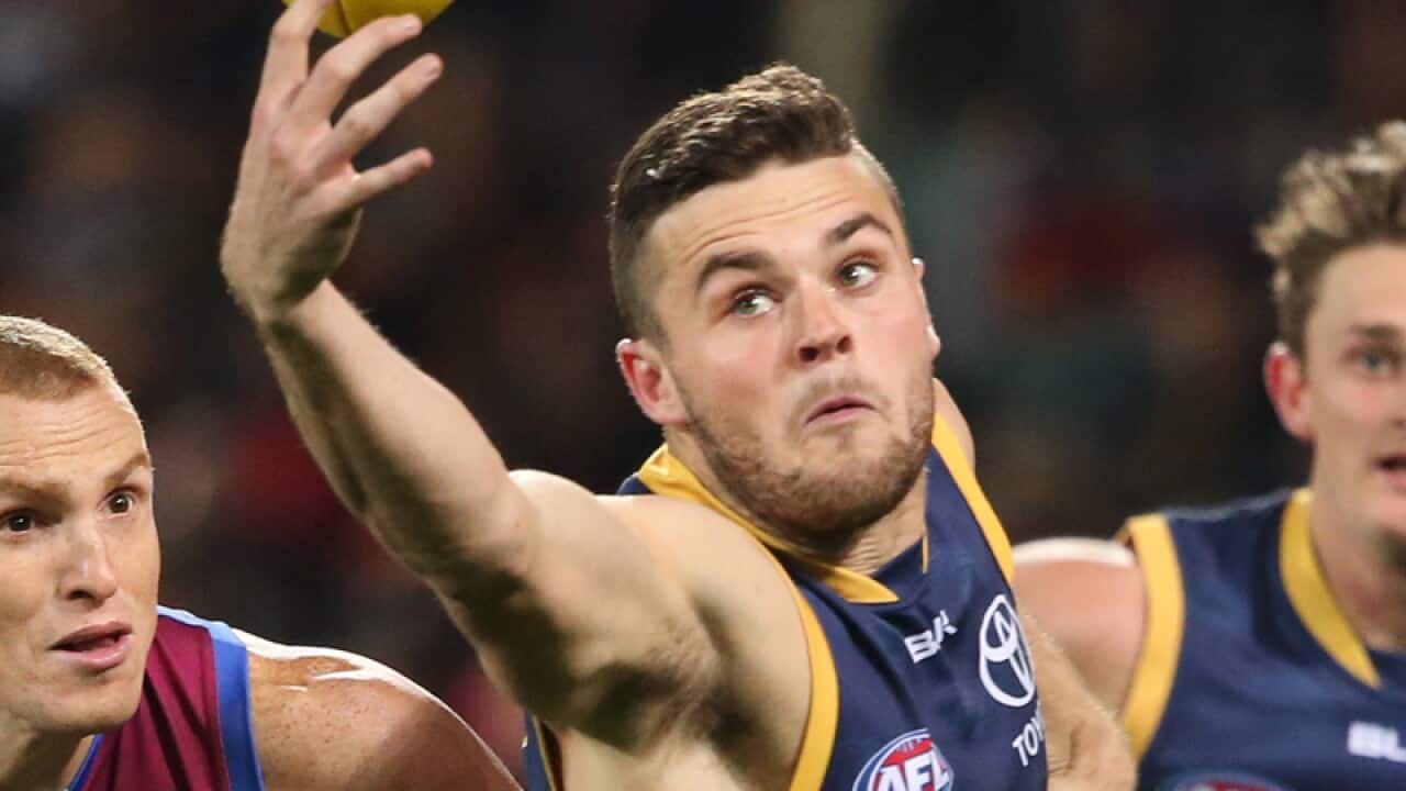 Adelaide Crows midfielder Brad Crouch