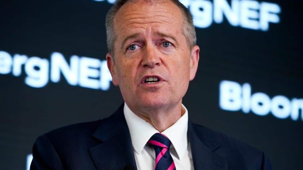 Leader of the Opposition Bill Shorten