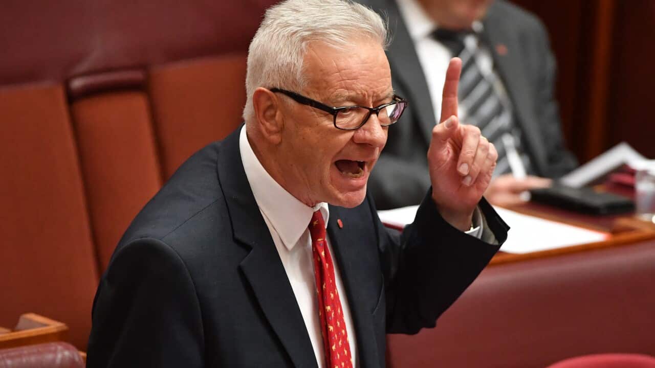 Labor Senator Doug Cameron
