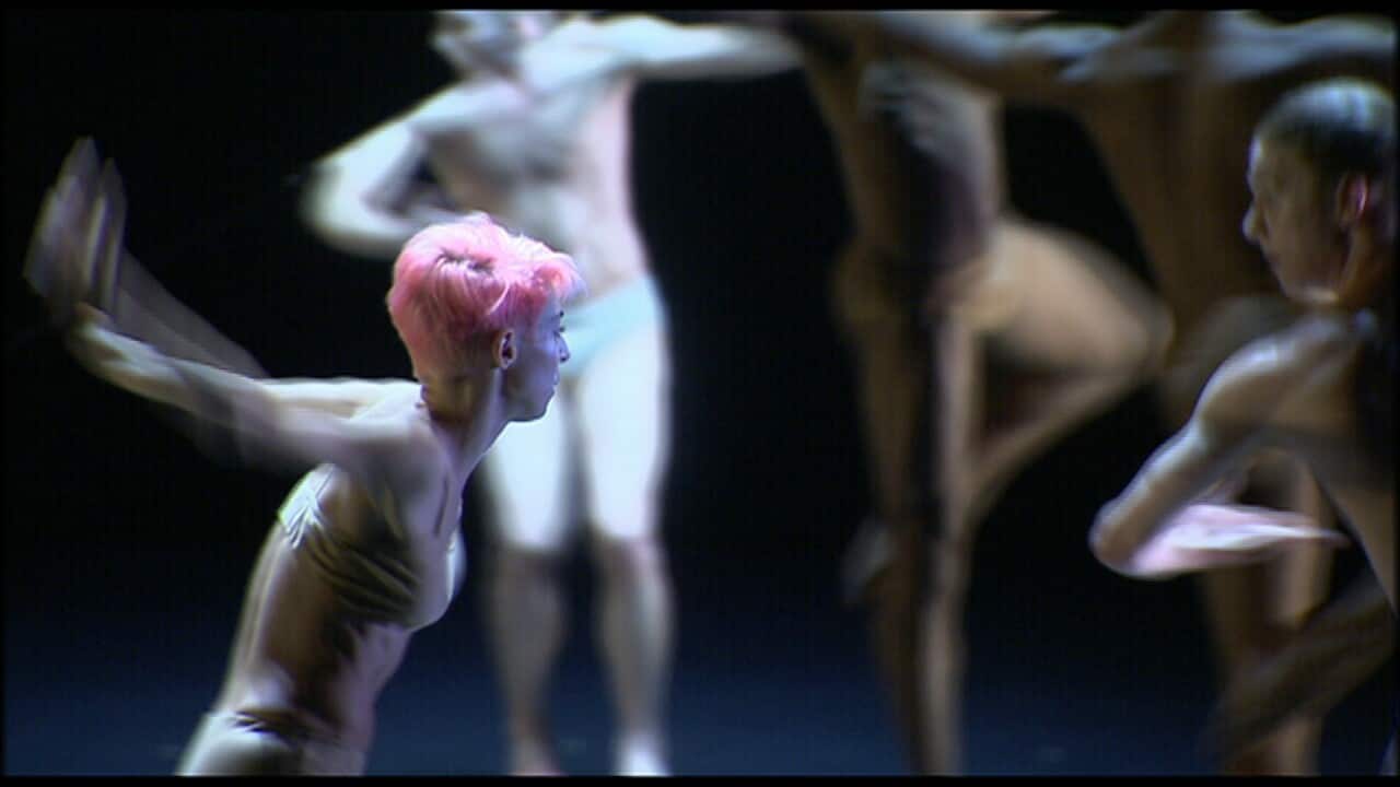Tree of Codes is on at the Sydney Festival.