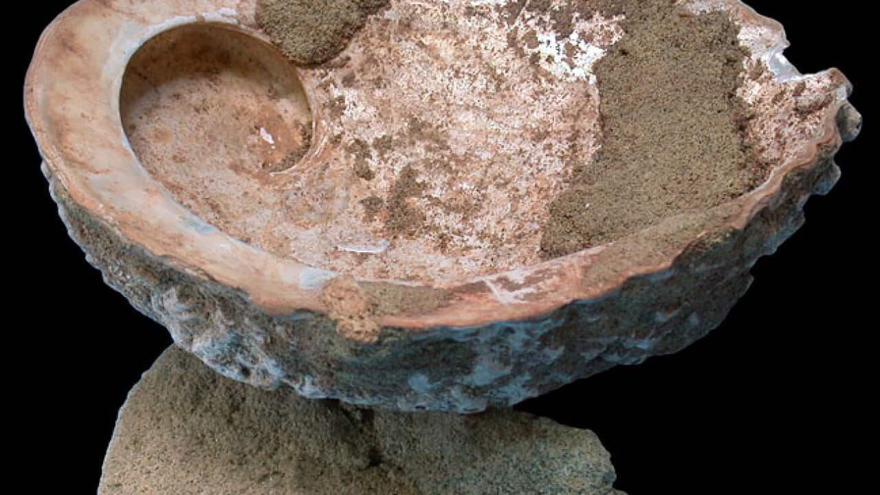 earliest_artists_pot_111014_aap_2053595695