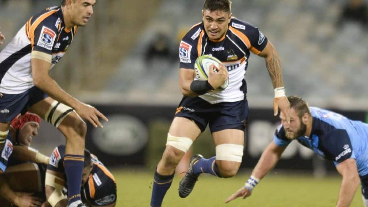 Brumbies