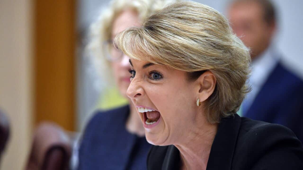 Minister for Jobs Michaelia Cash at Senate estimates hearing at Parliament House in Canberra, Wednesday, February 28, 2018. (AAP Image/Mick Tsikas) NO ARCHIVING