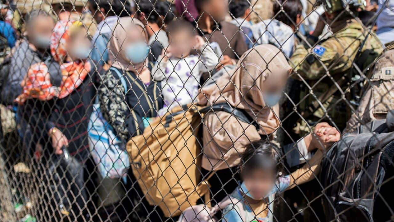 Afghan Australian visa holders try to enter the congested Abbey Gate at Hamid Karzai International Airport.