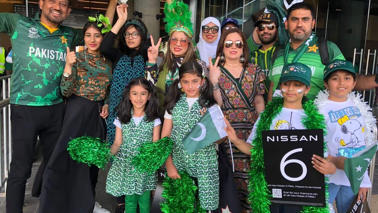 Pakistan qualify for semi-finals after beating Bangladesh by 5 wickets