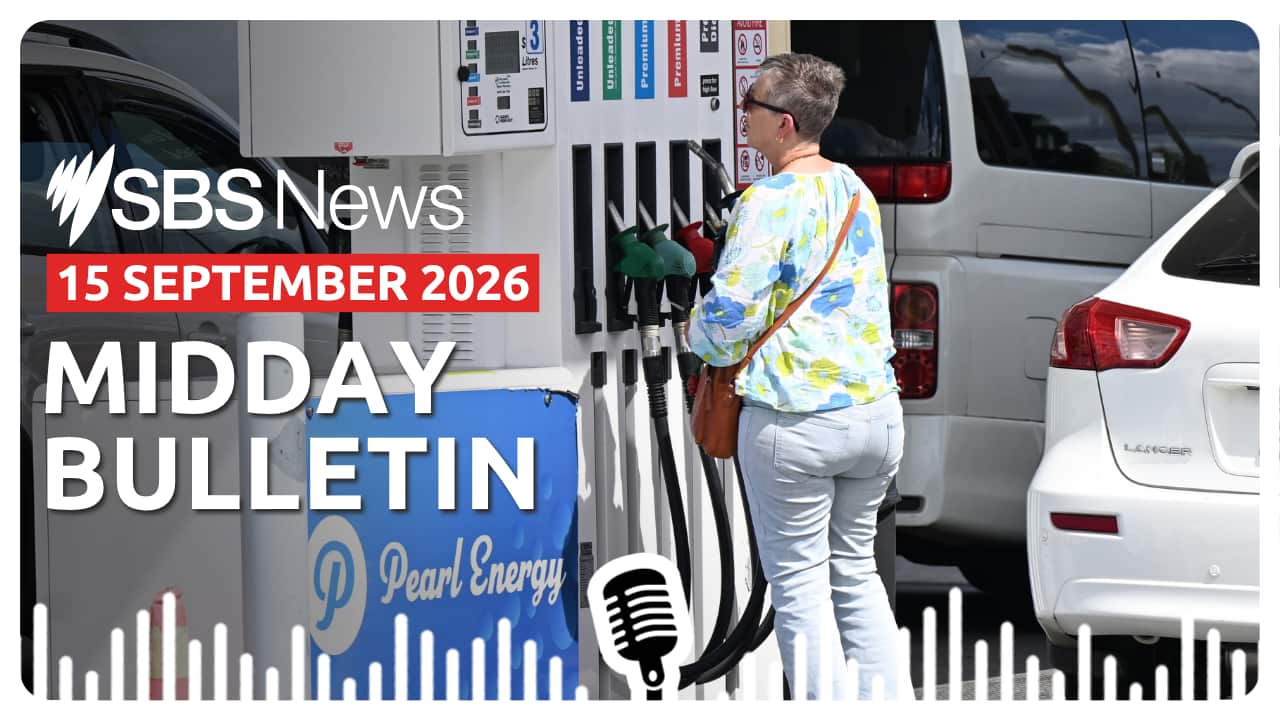 MIDDAY BULLETIN (4).png