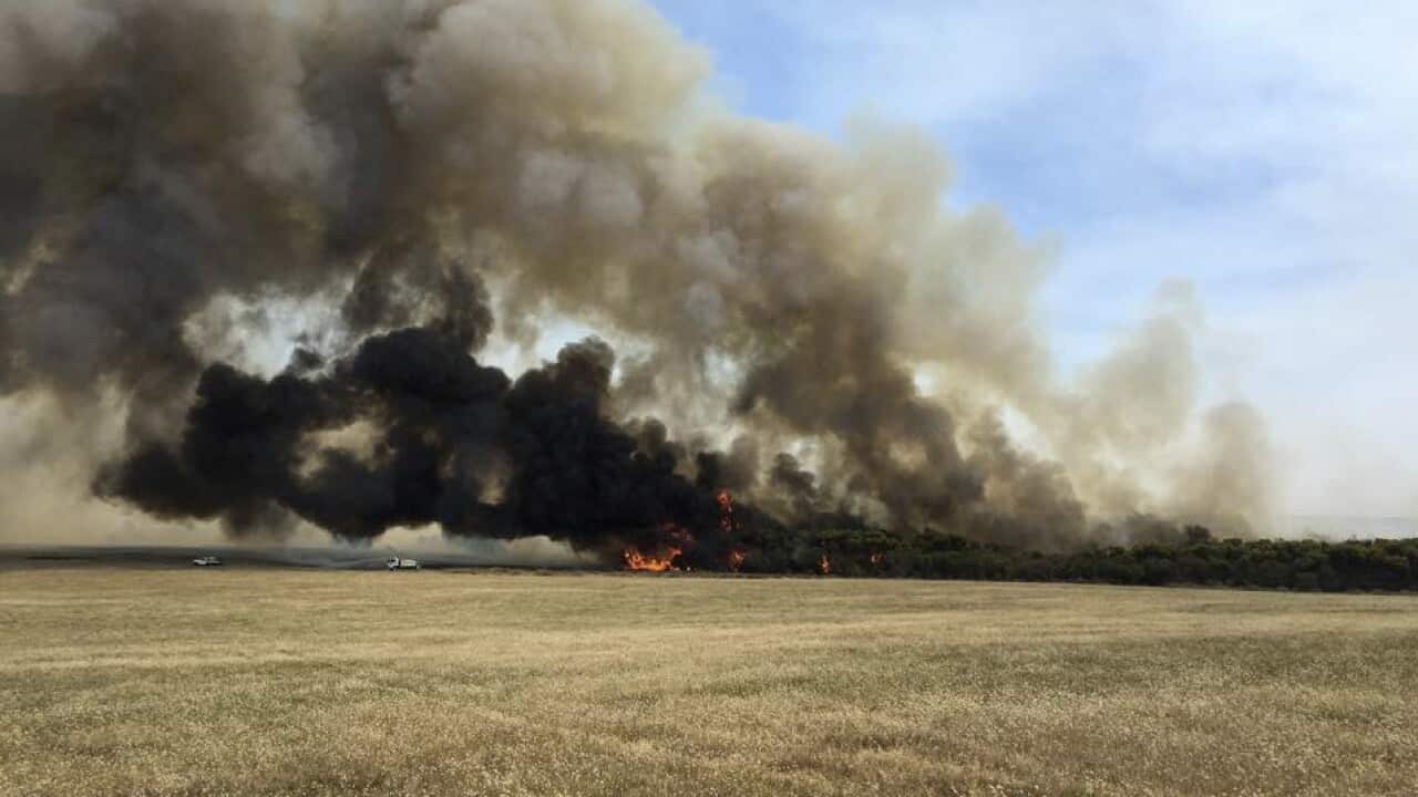 Supplied image obtained Wednesday, Nov. 18, 2015 of a bushfire burning out of control near Esperance on Western Australia's south coast. Four people have died so far. (AAP Image/Carolyn Sainty) NO ARCHIVING, EDITORIAL USE ONLY