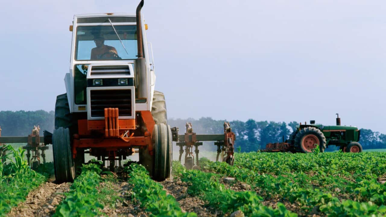 Macedonian land consolidation