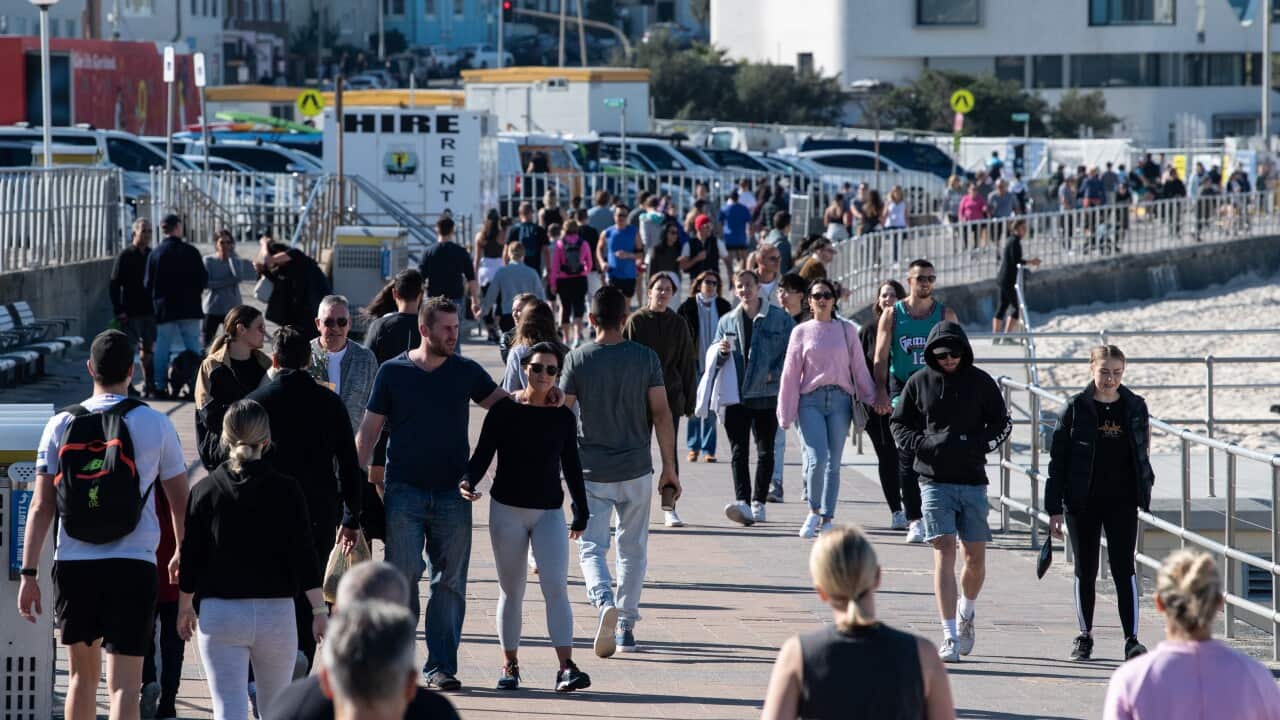 A large group of people walking along a path in front of a beach.