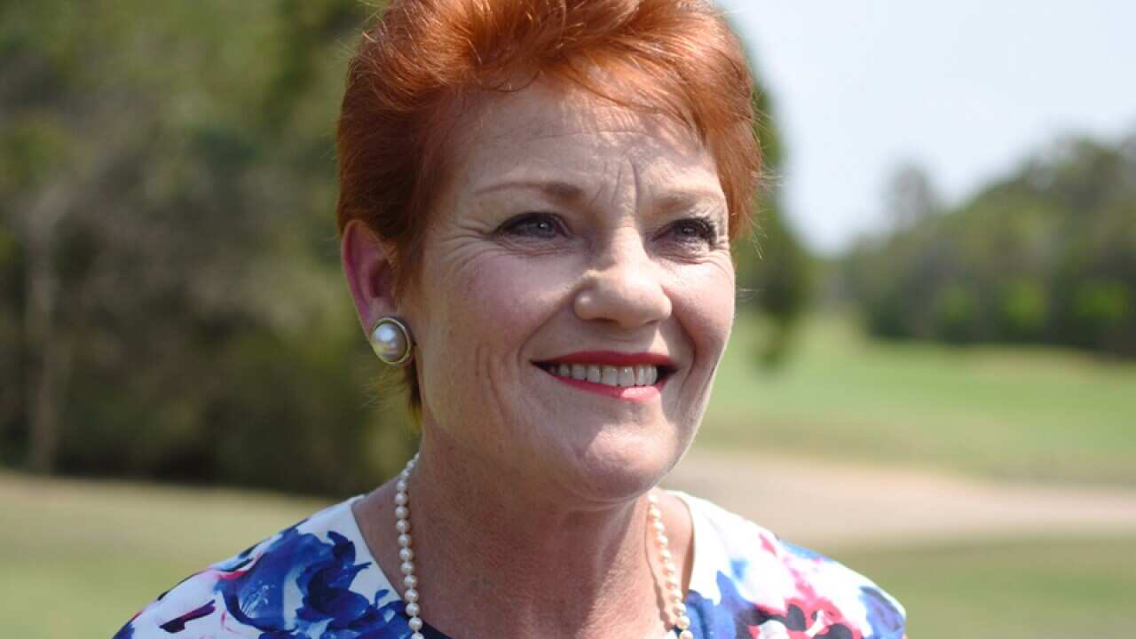 One Nation leader Pauline Hanson