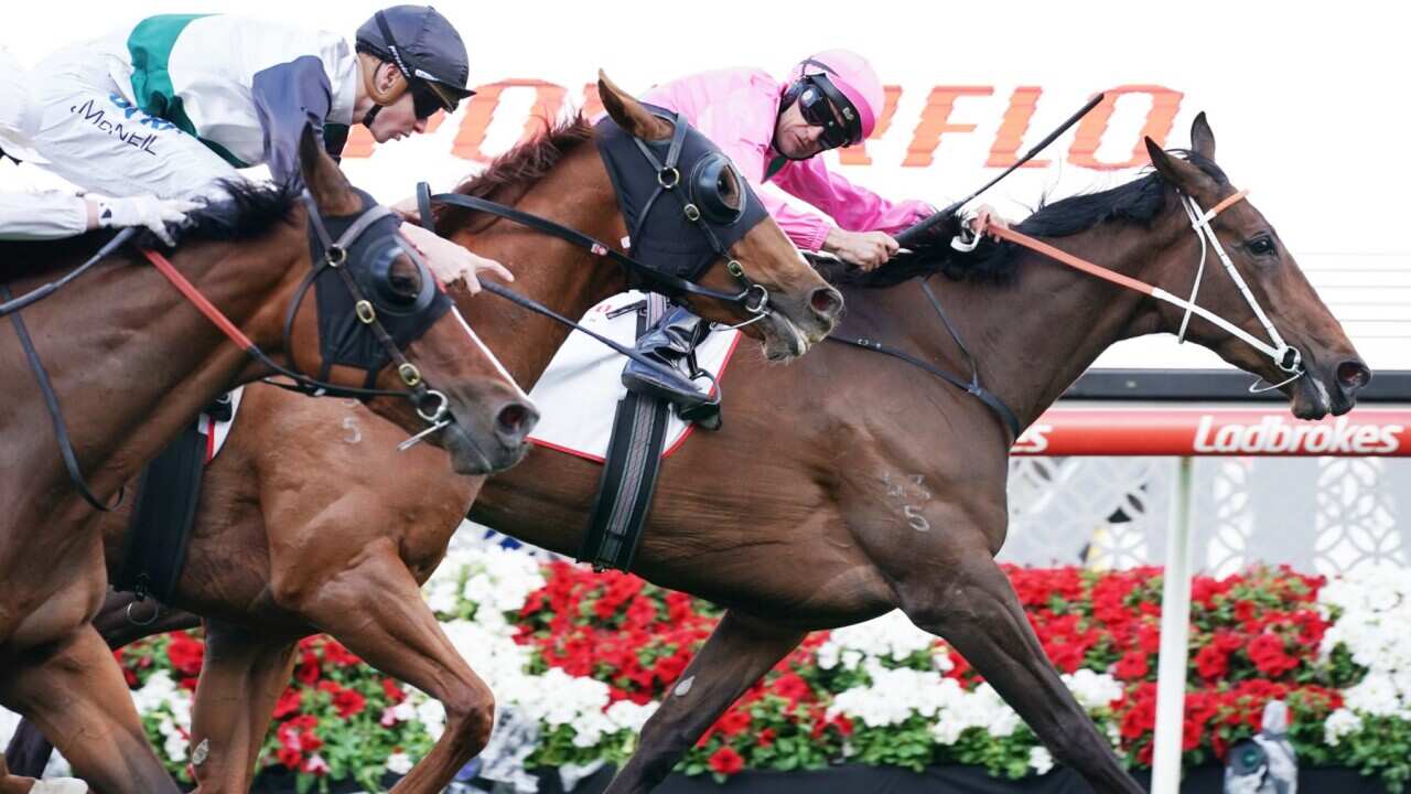 Image for read more article 'READ MORE'