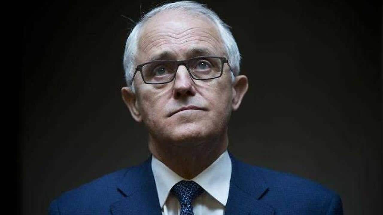 Dual Citizenship saga