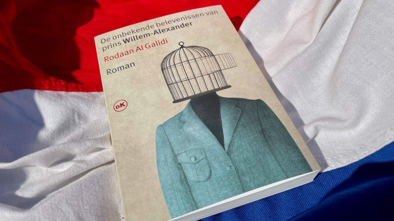 Het boek De onbekende belevenissen van prins Willem-Alexander