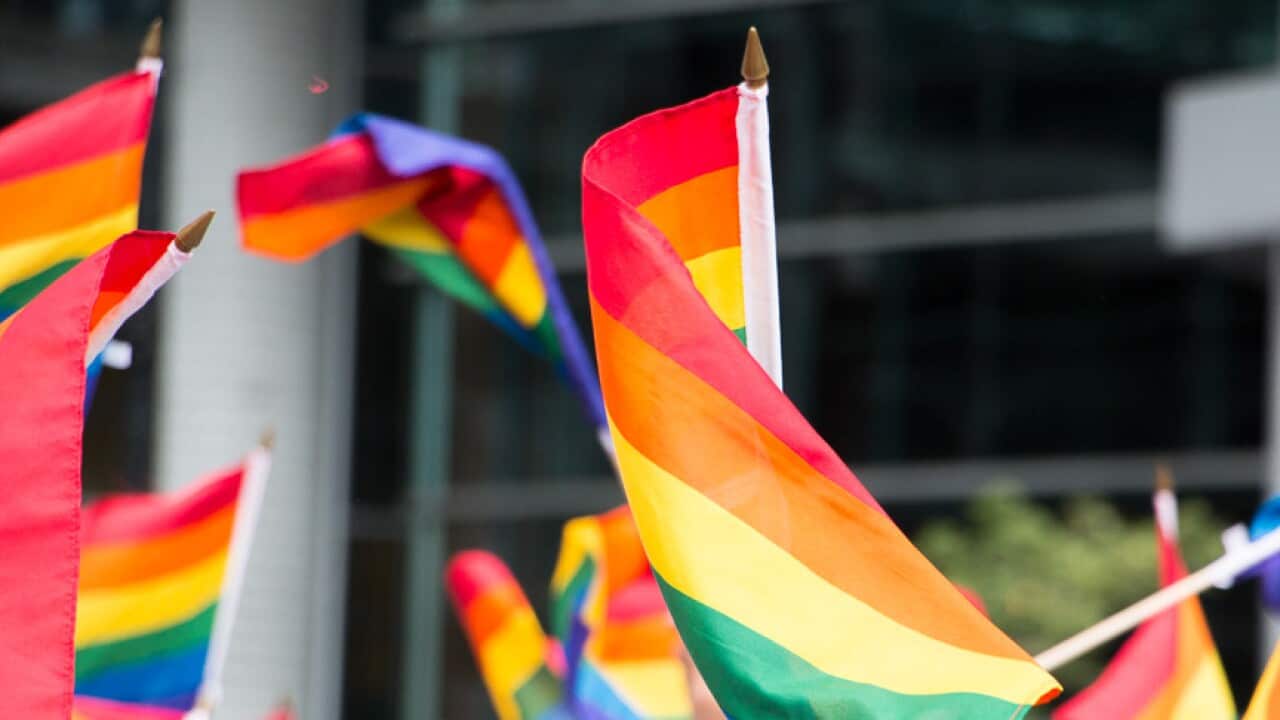 Rainbow flags are waved during Montreal's Pride Parade