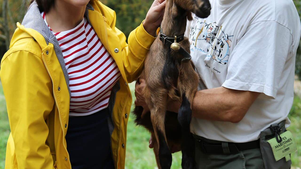 Rachel Khoo and Erik the goat farmer and cheesemaker, Provence