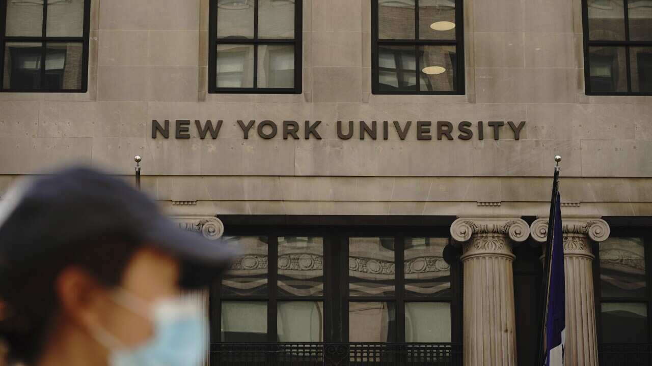 New York University