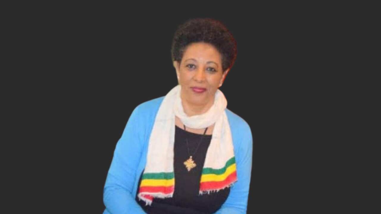 De Abeba Fekade I.png