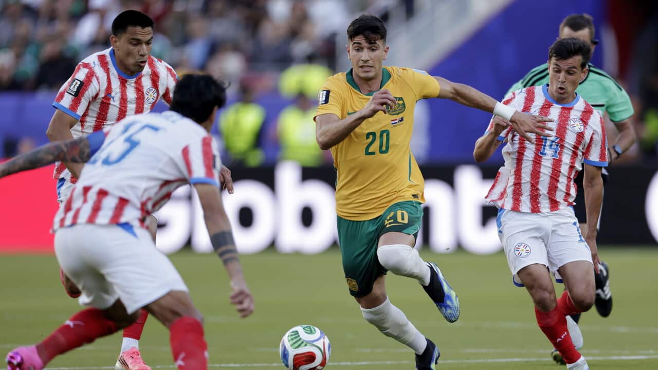 サッカルーズの次の相手は?W杯ラウンド32でイラン・ベルギー・エジプトの可能性