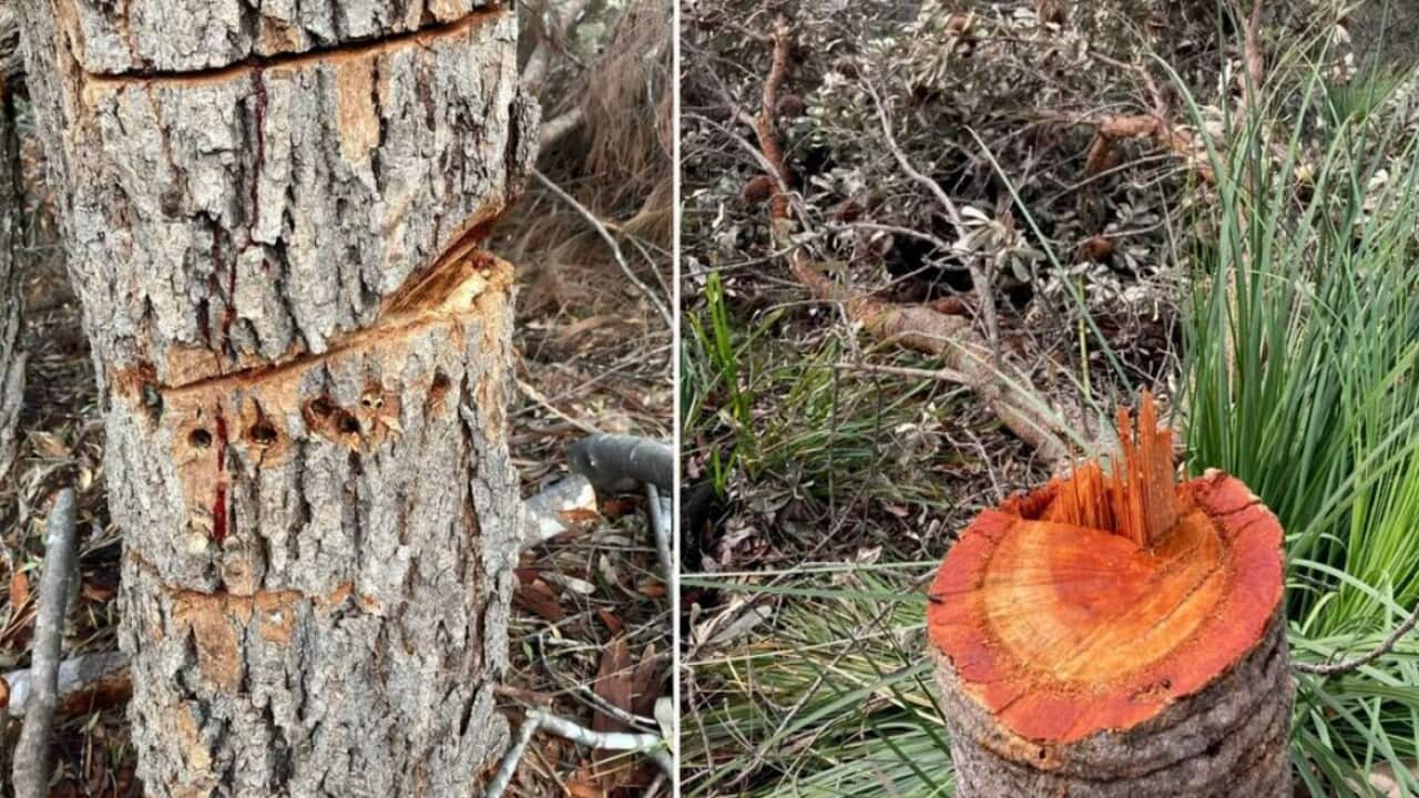 Image for read more article '相關內容'