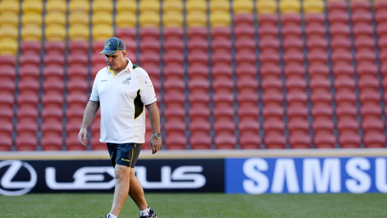 Wallabies coach Ewen McKenzie looks dejected.