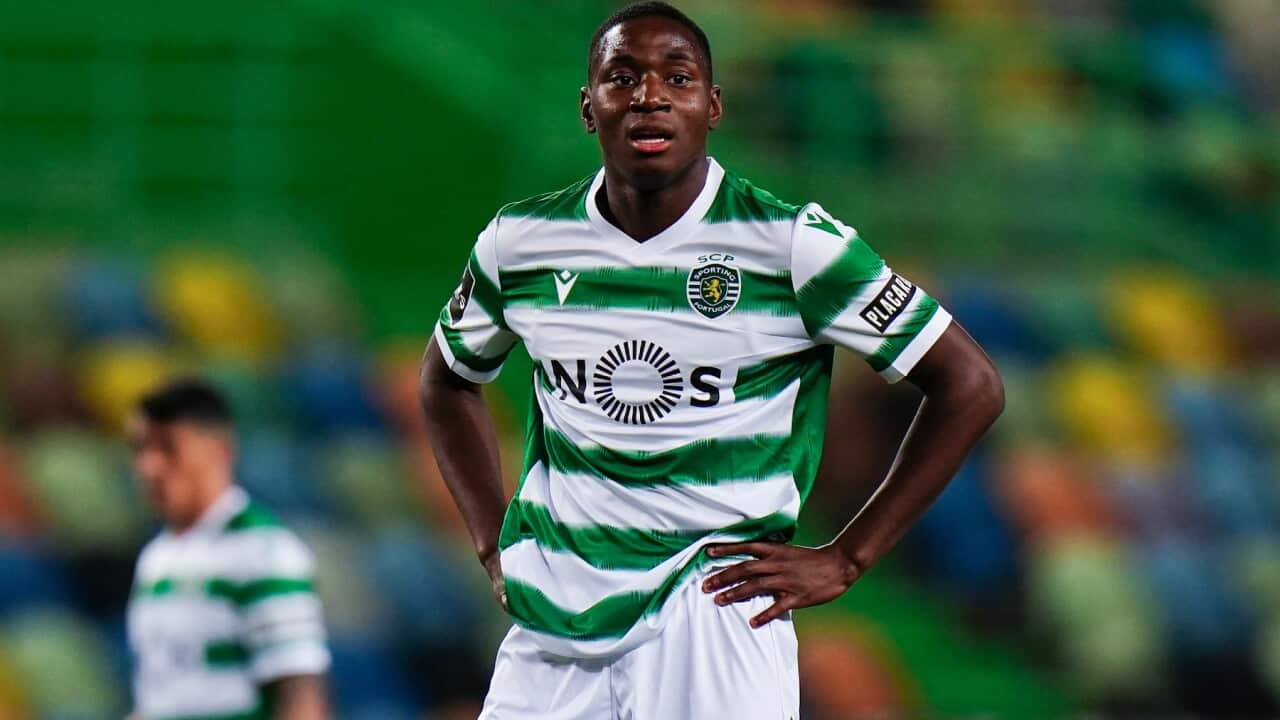 Image for read more article ''