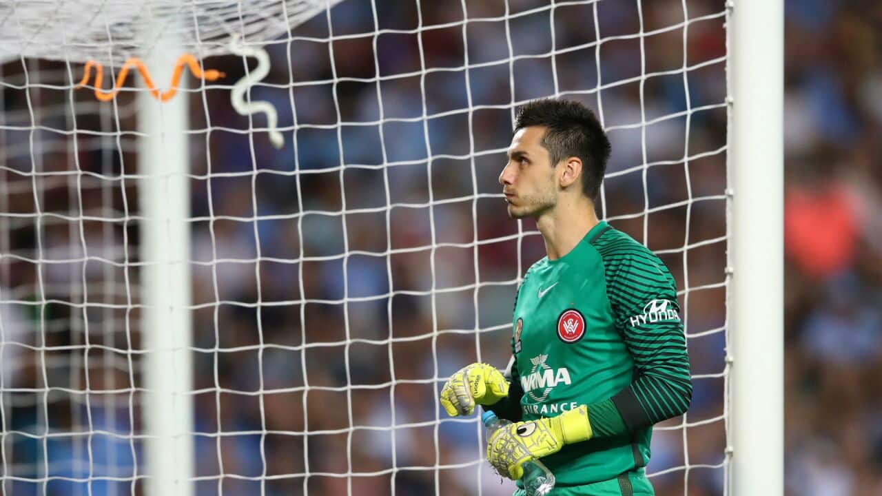Vedran Janjetovic
