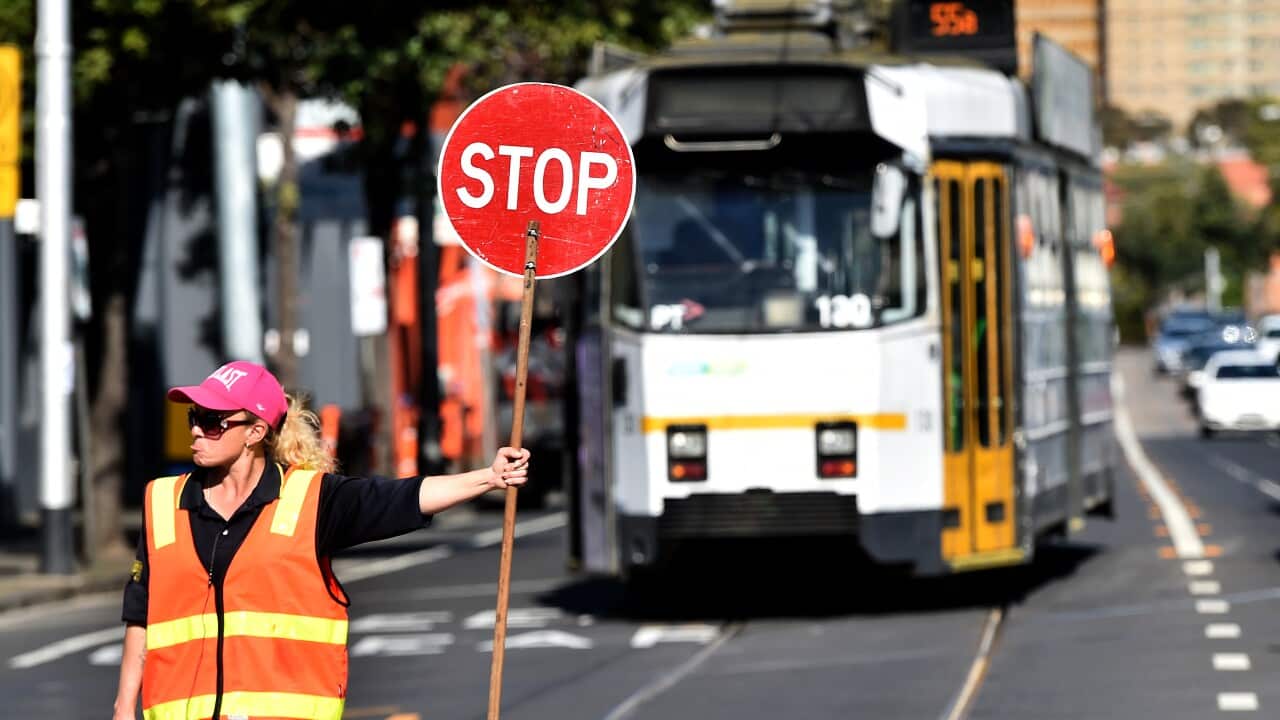 A traffic controller holds a stop signs.jpg